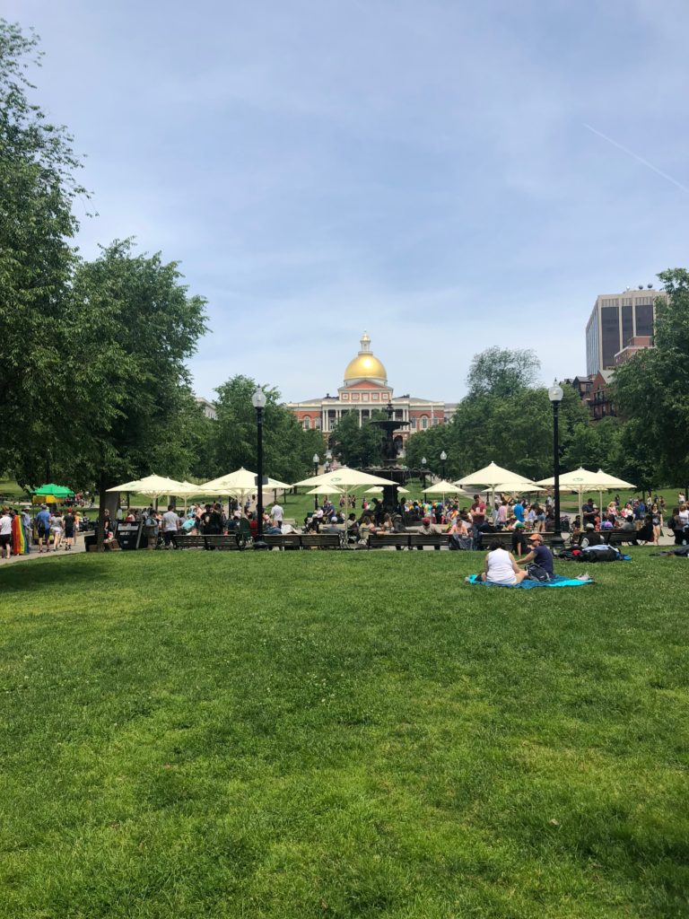 Boston common park view