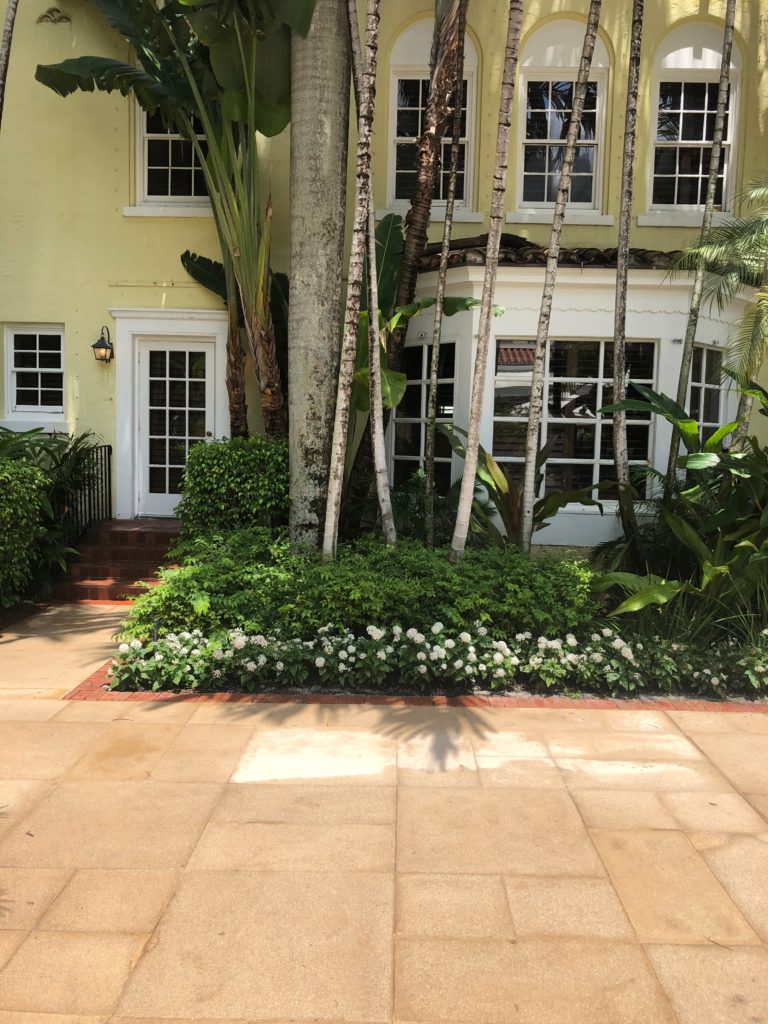 Brazilian court palm beach courtyard